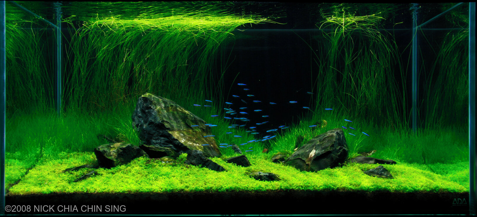 Aquascape Wallpapers