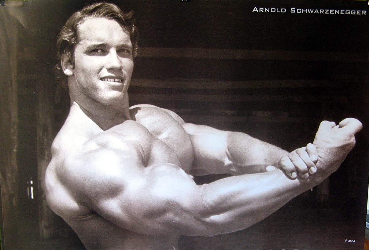 Arnold Schwarzenegger Quotes Wallpapers