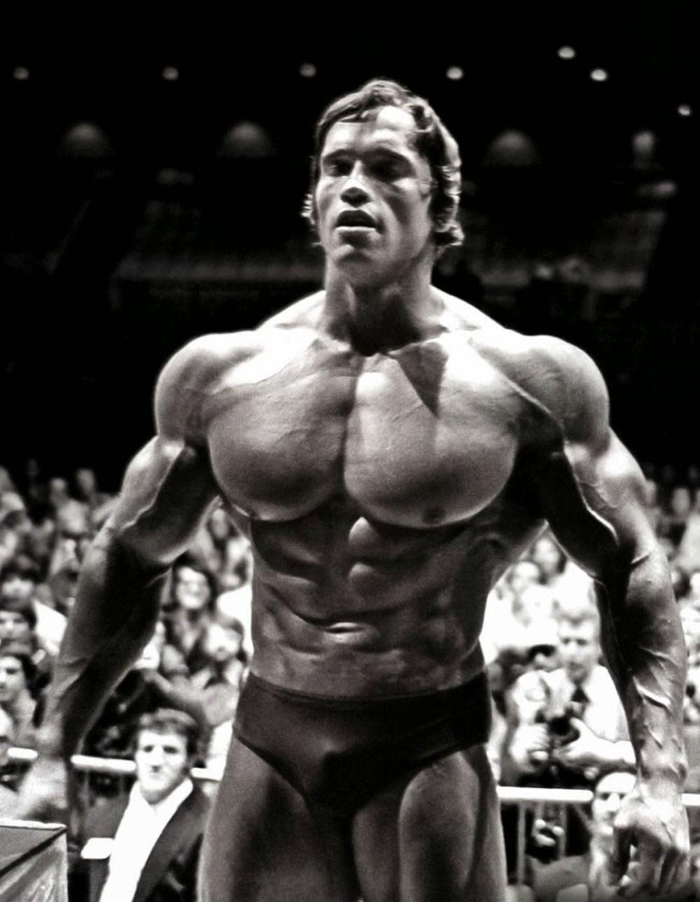 Arnold Schwarzenegger Quotes Wallpapers