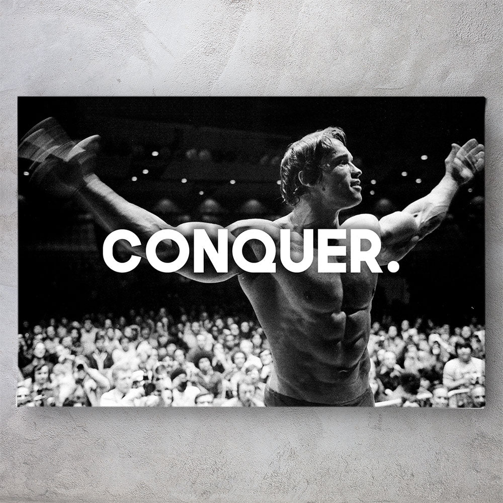 Arnold Schwarzenegger Conquer Wallpapers