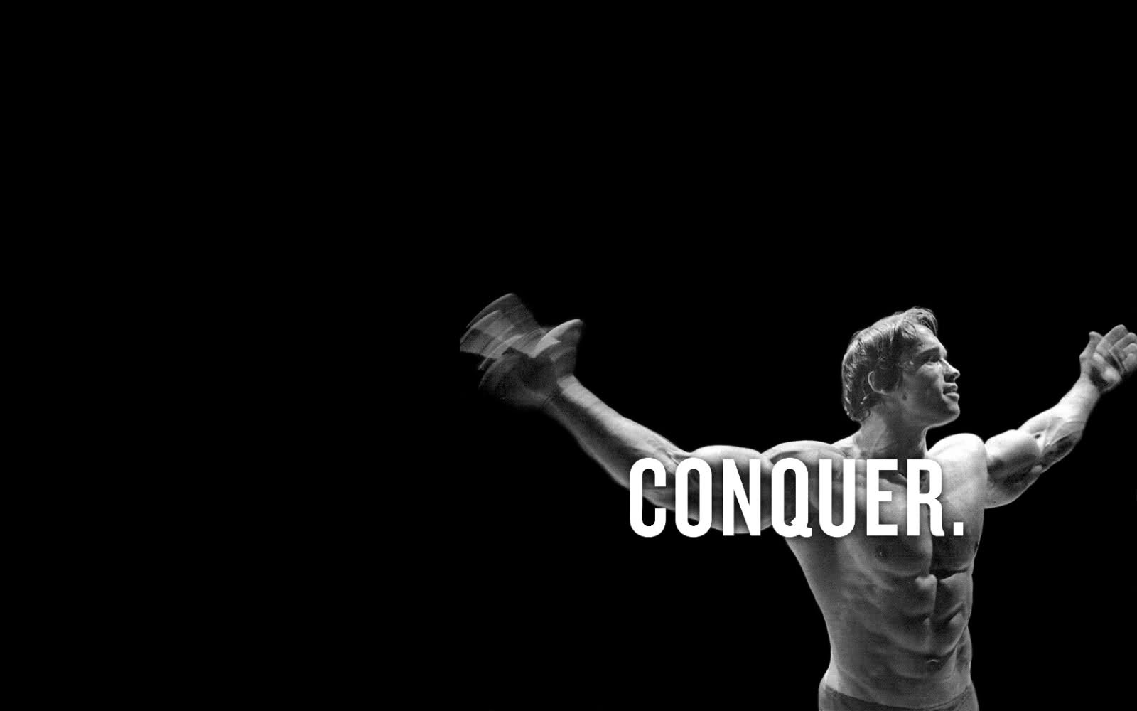 Arnold Schwarzenegger Conquer Wallpapers