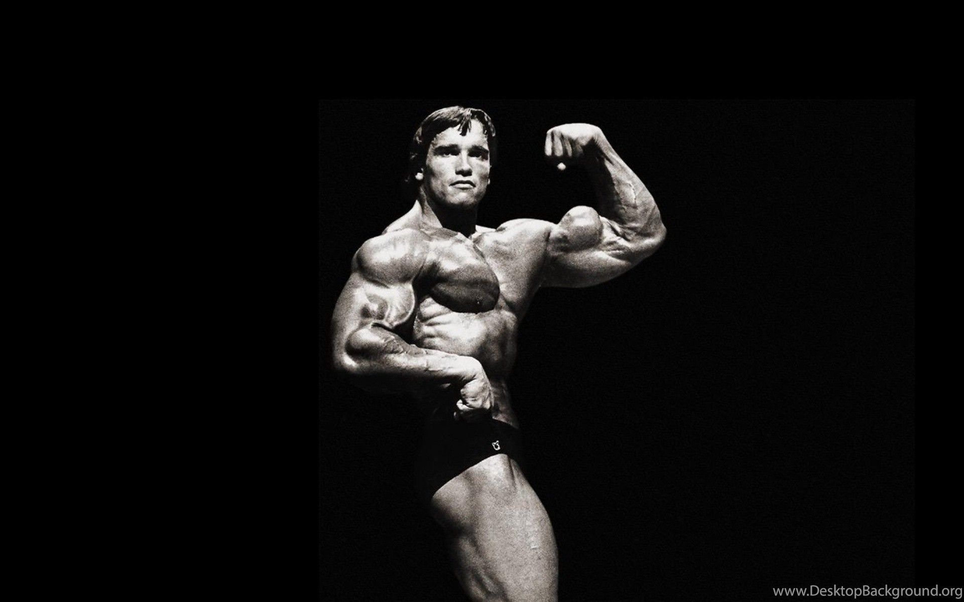 Arnold Schwarzenegger Conquer Wallpapers