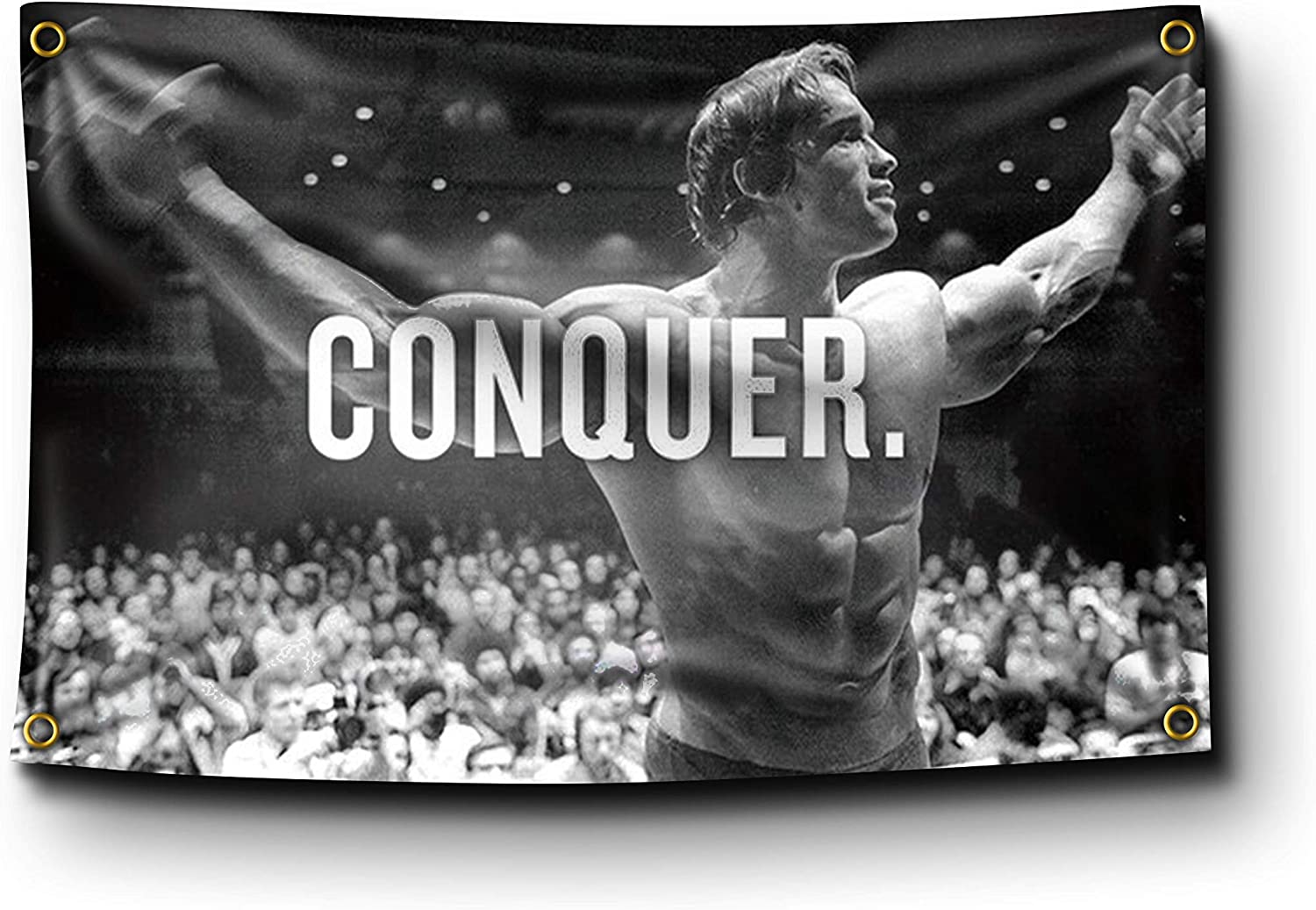 Arnold Schwarzenegger Conquer Wallpapers