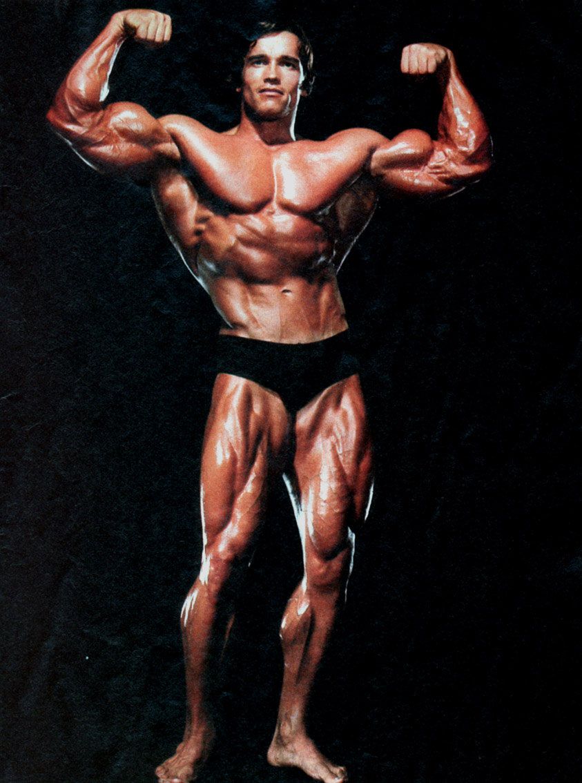 Arnold Schwarzenegger Conquer Wallpapers