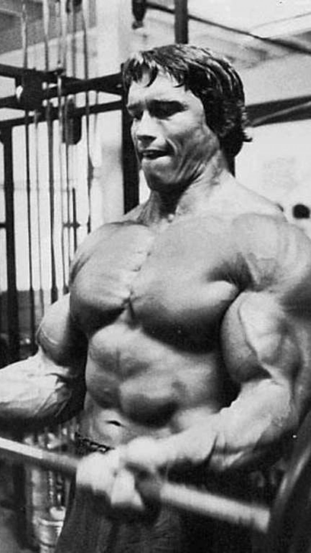 Arnold Schwarzenegger Conquer Wallpapers