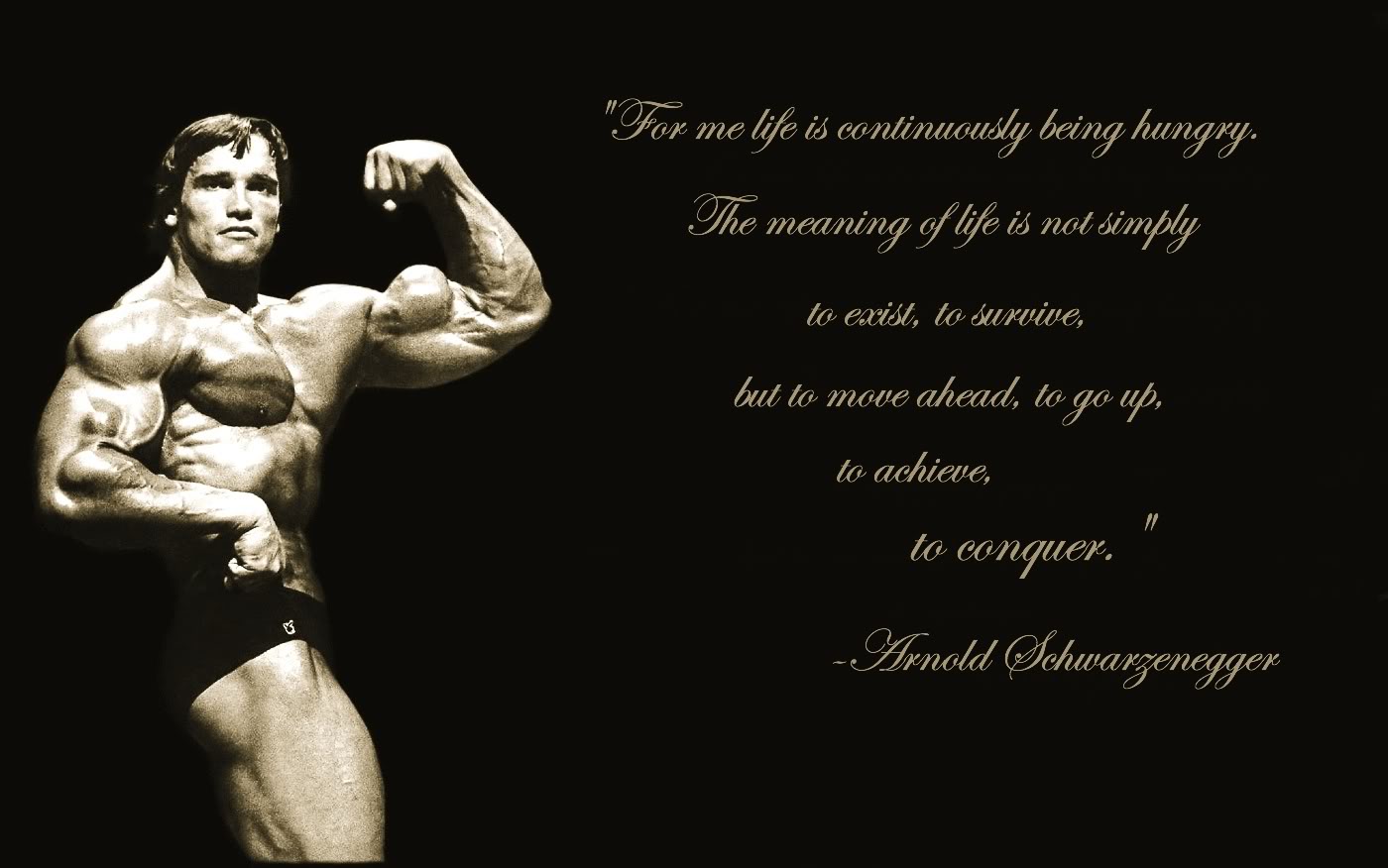 Arnold Schwarzenegger Conquer Wallpapers