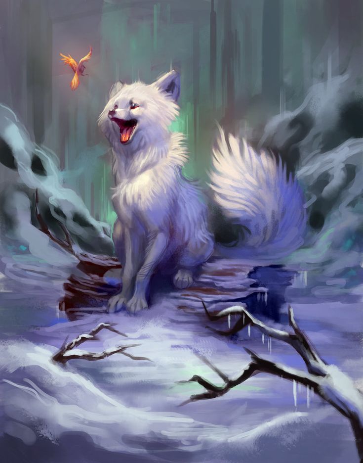 Art Arctic Fox Wallpapers