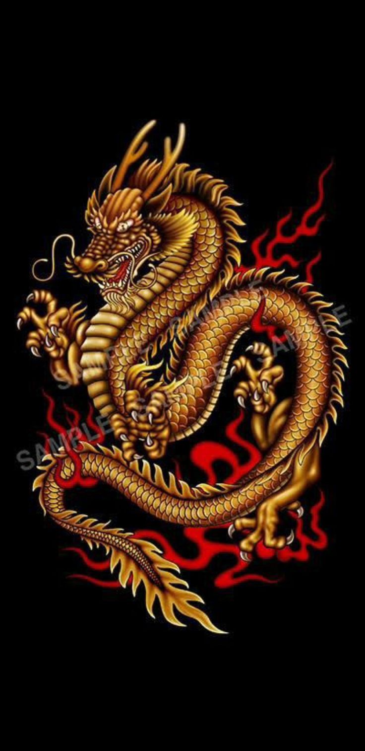 Asian Dragon Wallpapers