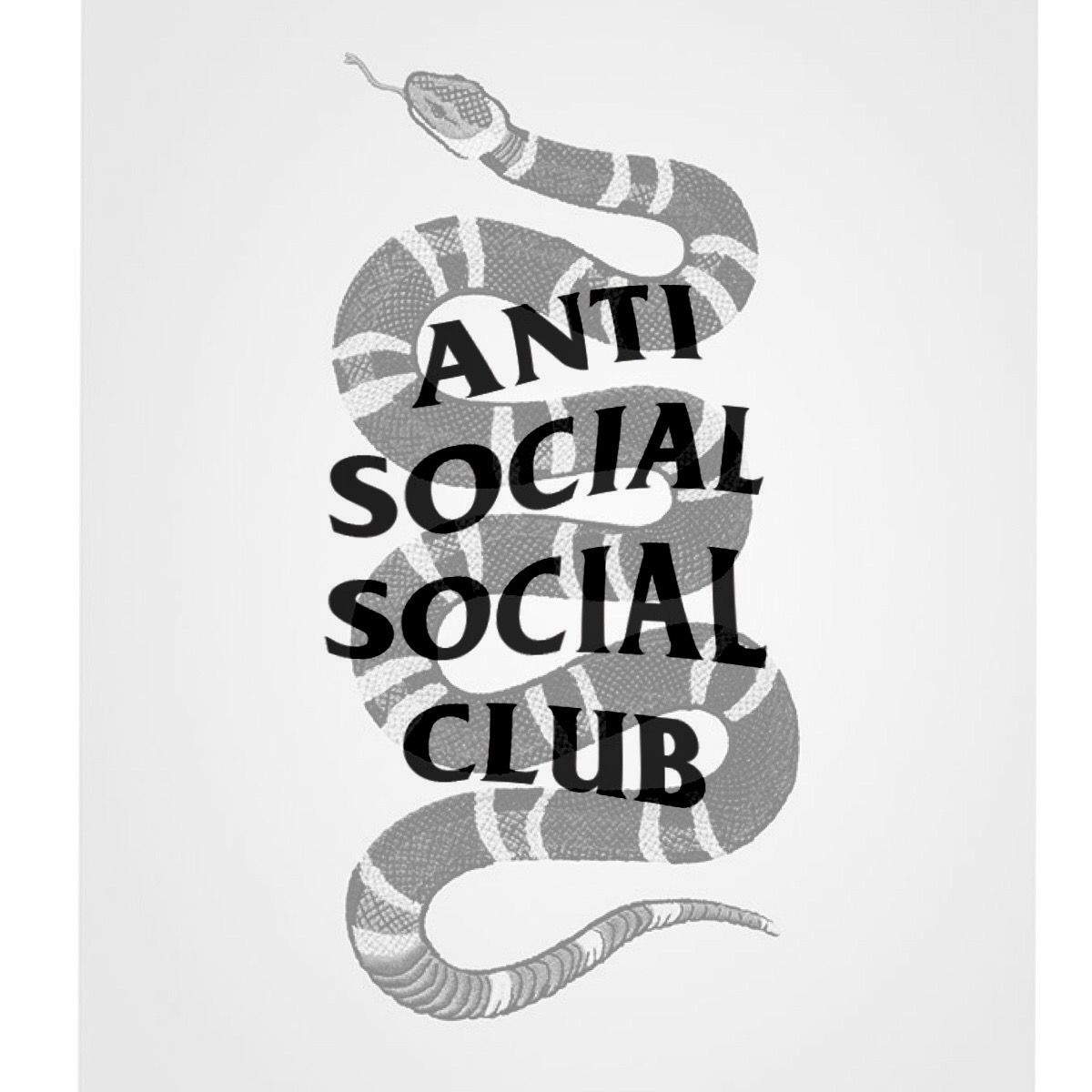 Assc Wallpapers