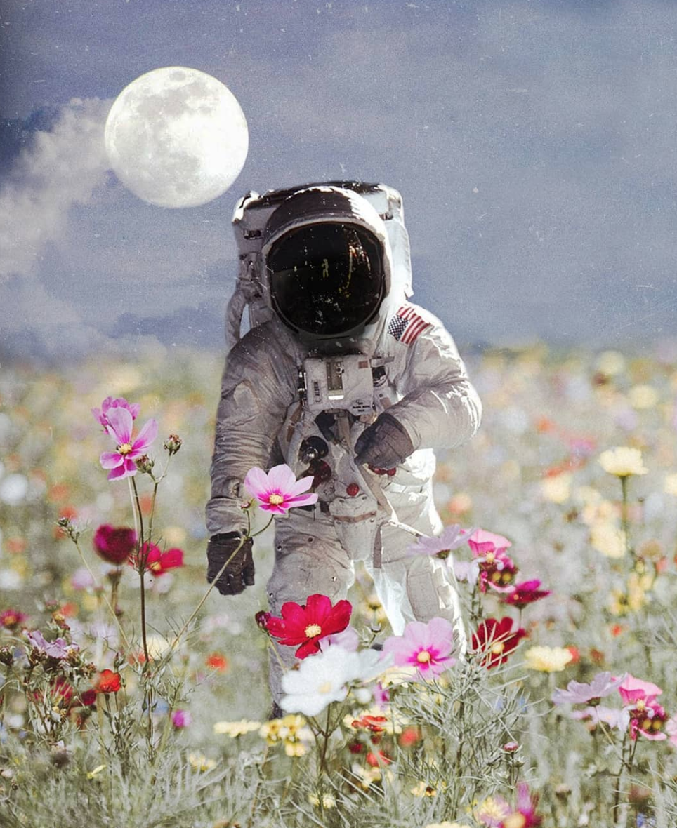 Astronaut Flowers Painting Wallpapers