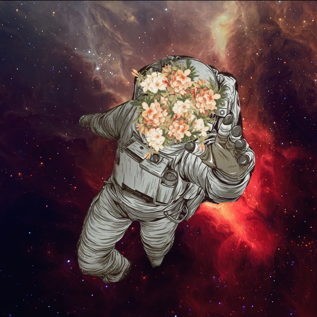 Astronaut Flowers Painting Wallpapers