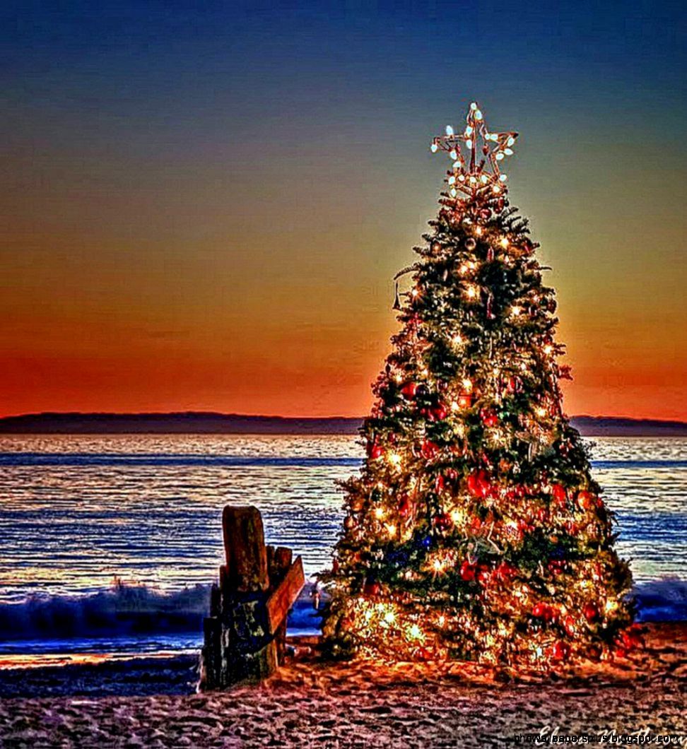 Australian Christmas Images Wallpapers