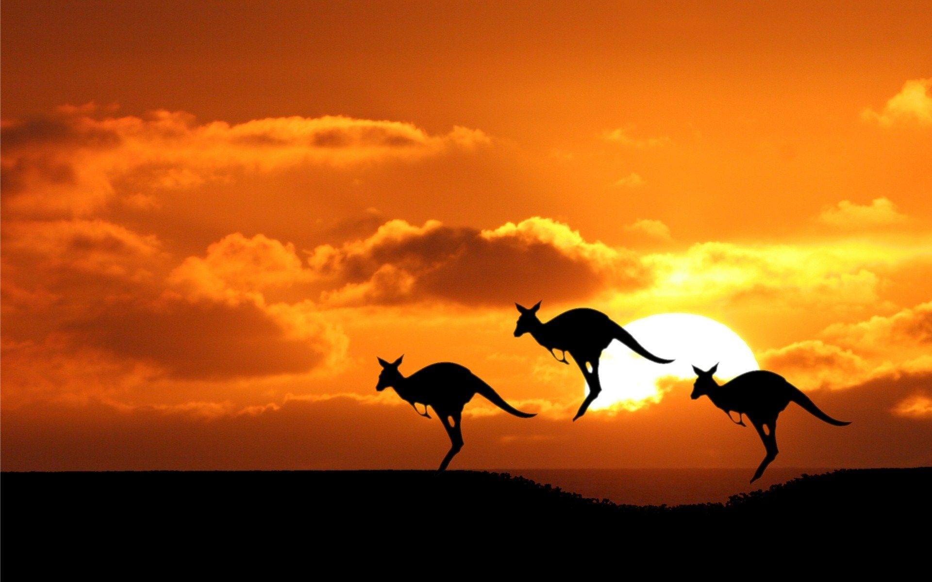 Australian Wallpapers