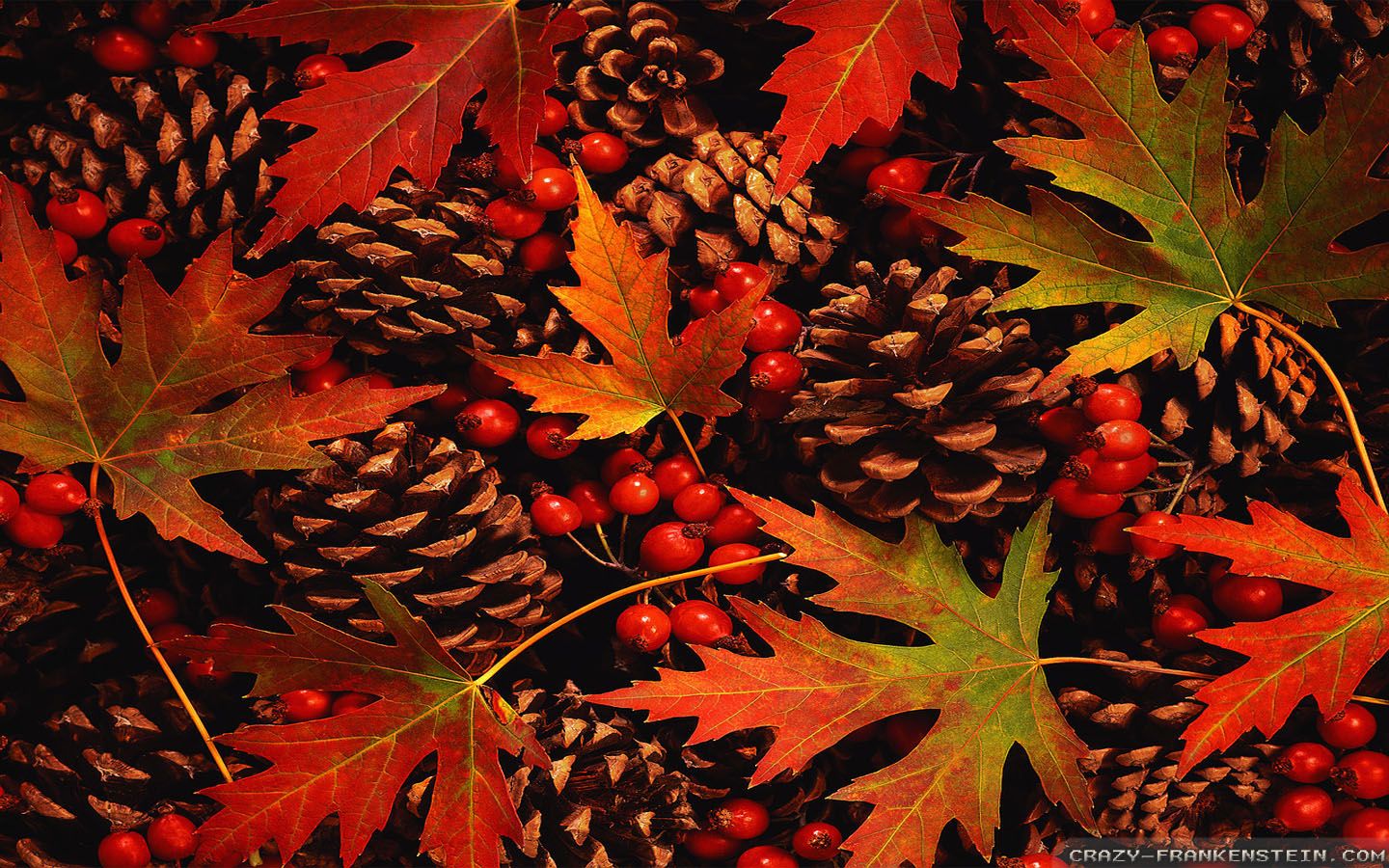 Autumn Harvest Widescreen Wallpapers