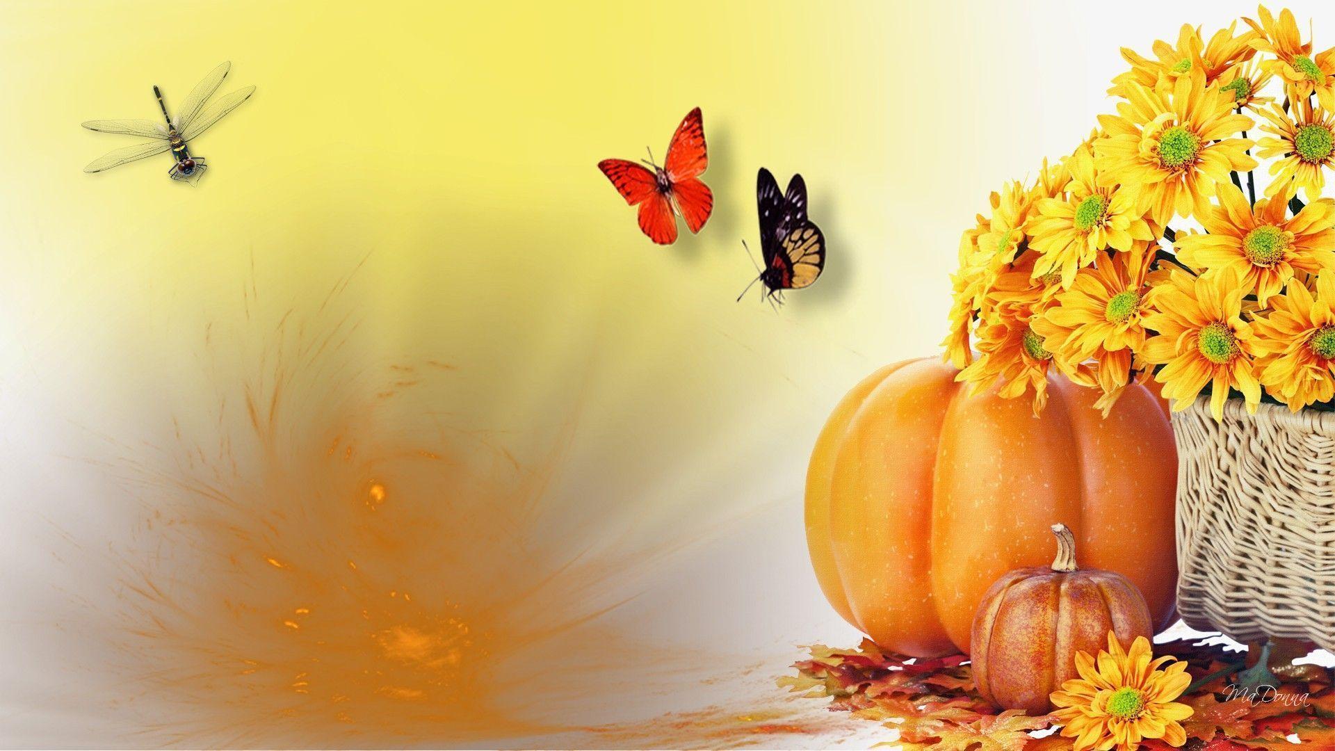 Autumn Harvest Widescreen Wallpapers