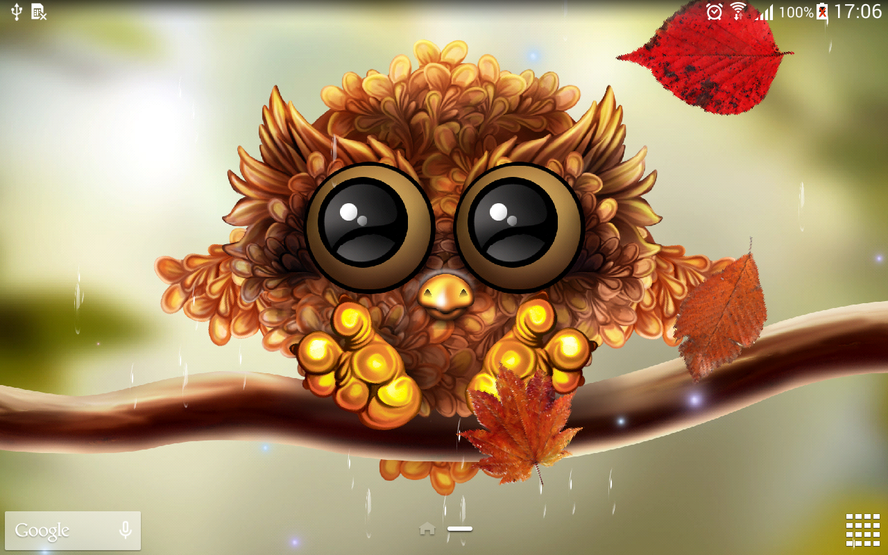 Autumn Owl Wallpapers