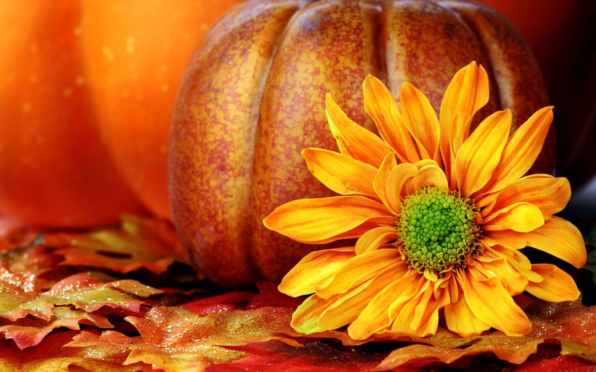 Autumn Pictures With Pumpkins For Desktop Wallpapers