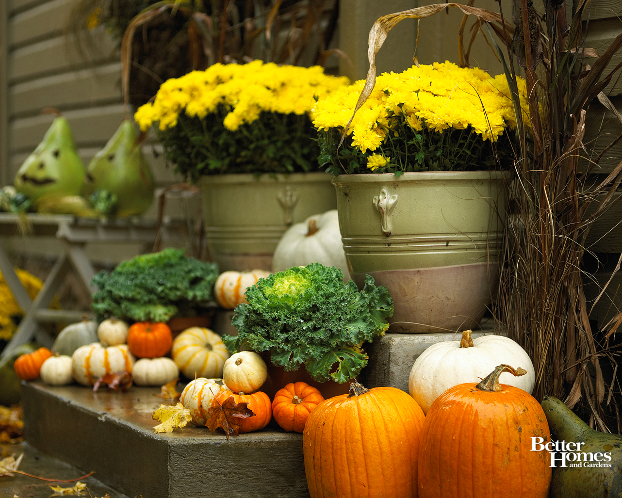 Autumn Pictures With Pumpkins For Desktop Wallpapers