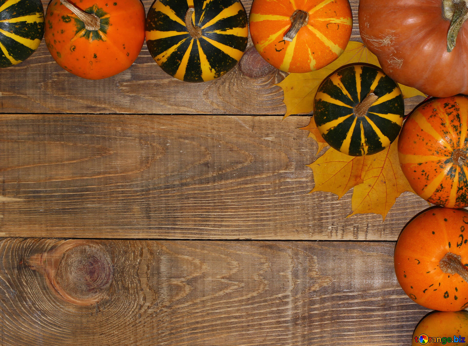 Autumn Pumpkins Wallpapers