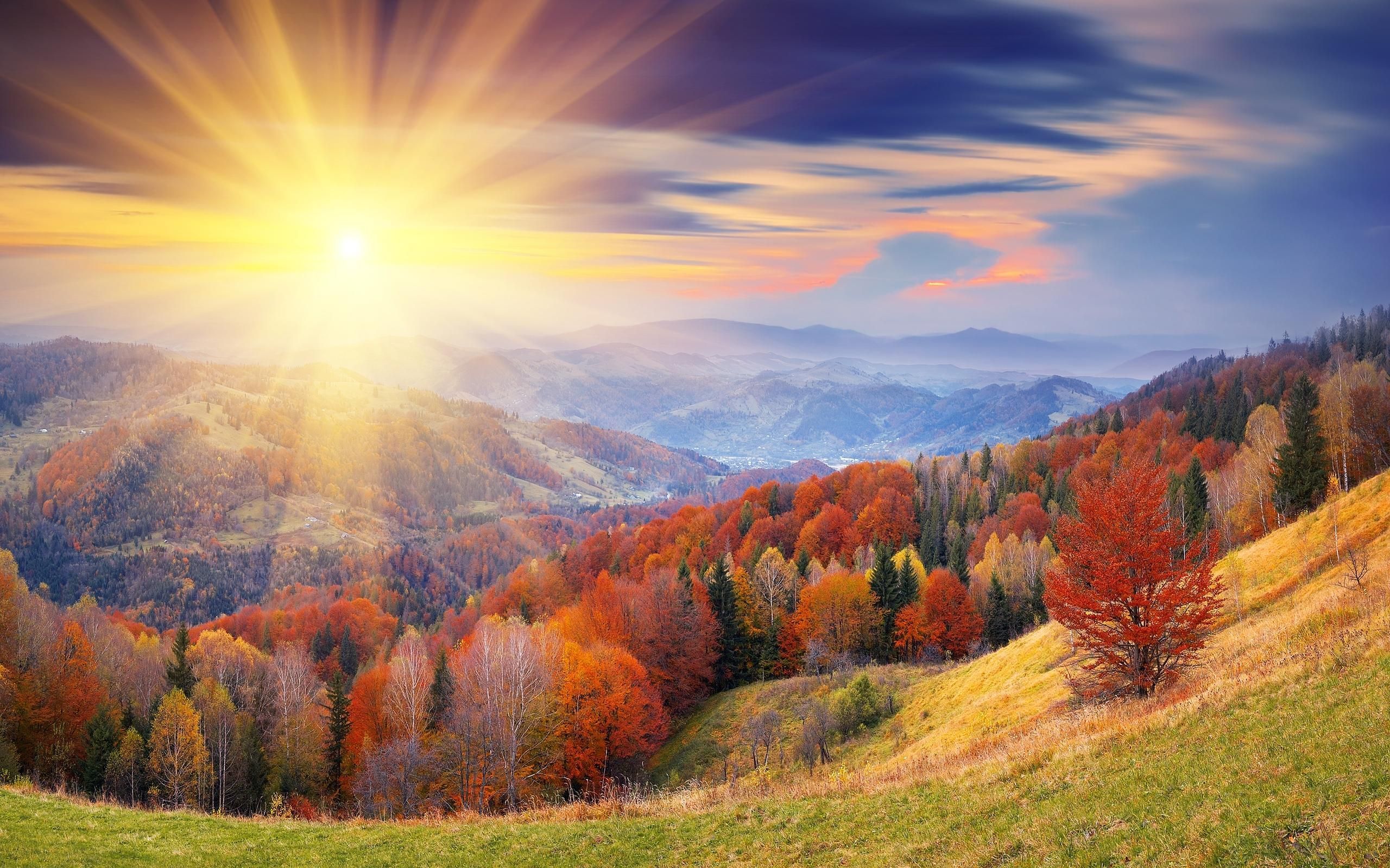 Autumn Sunrise Wallpapers