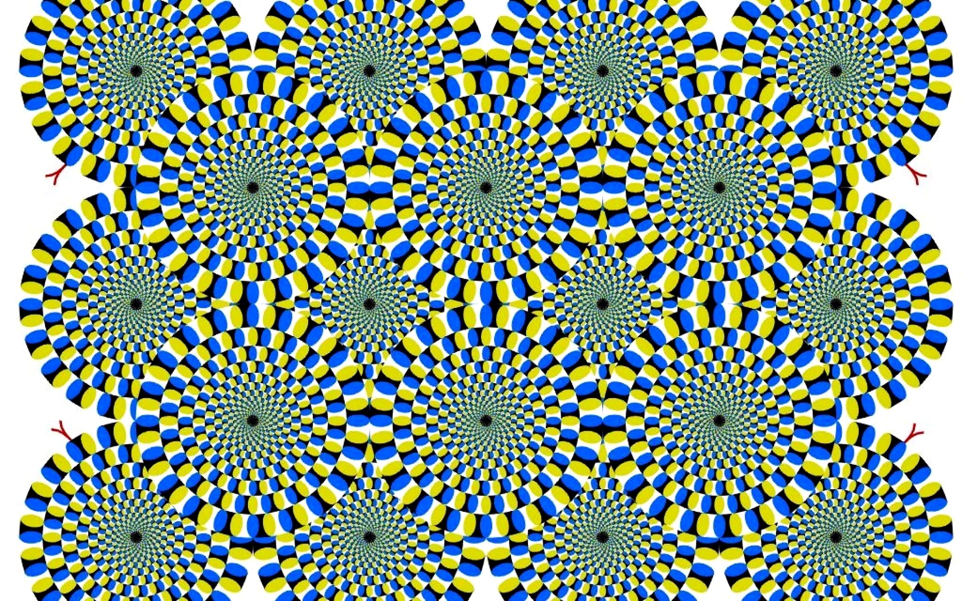 Awsome Optical Illusion Wallpapers