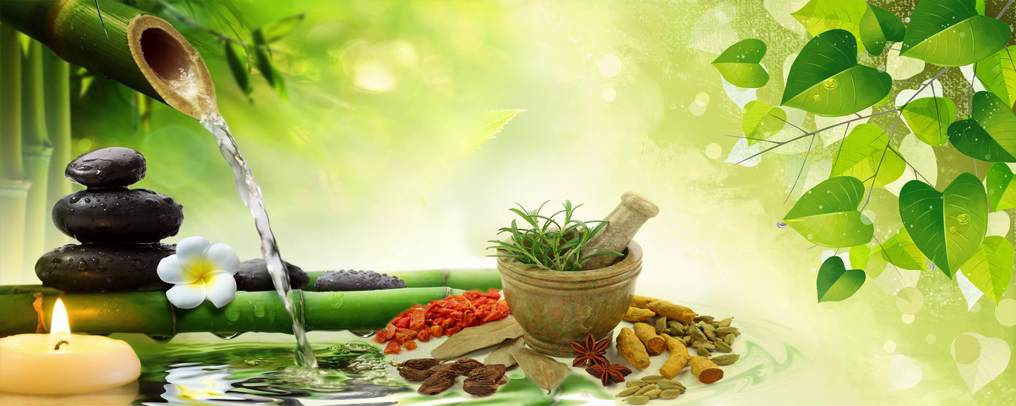 Ayurveda Images Wallpapers