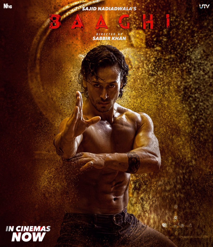 Baaghi 1 Wallpapers