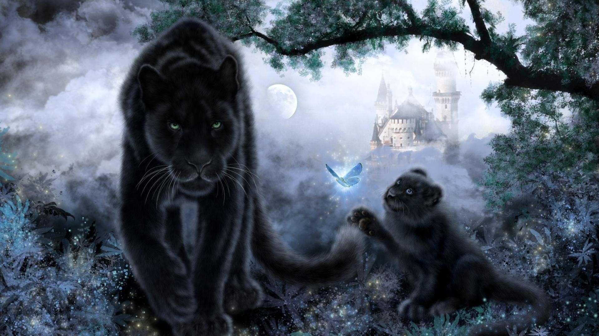 Baby Black Panther Wallpapers