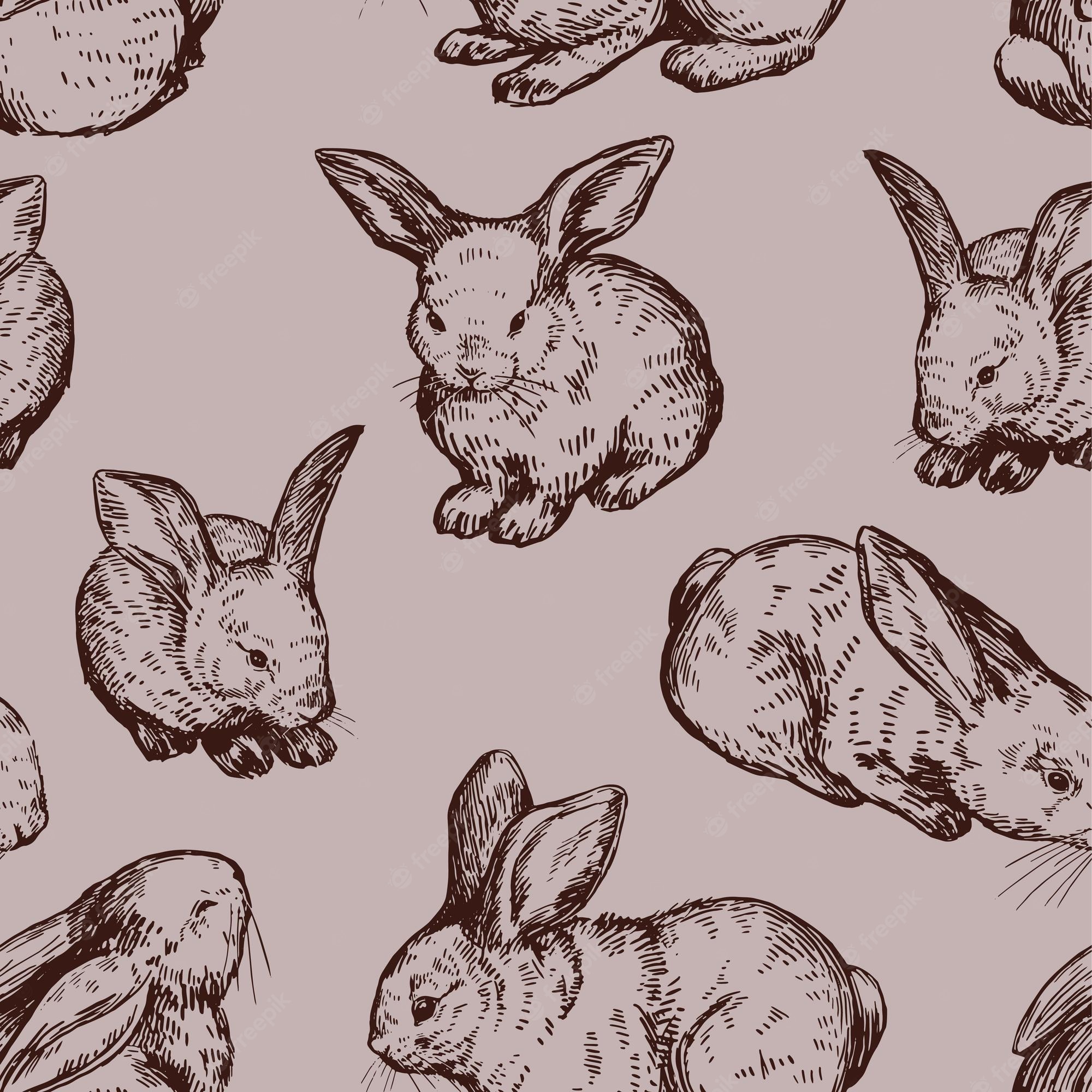 Baby Bunnies Wallpapers