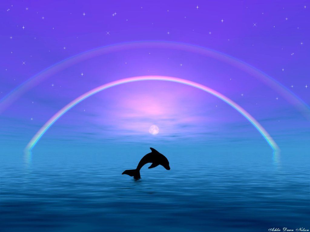 Baby Dolphin Wallpapers