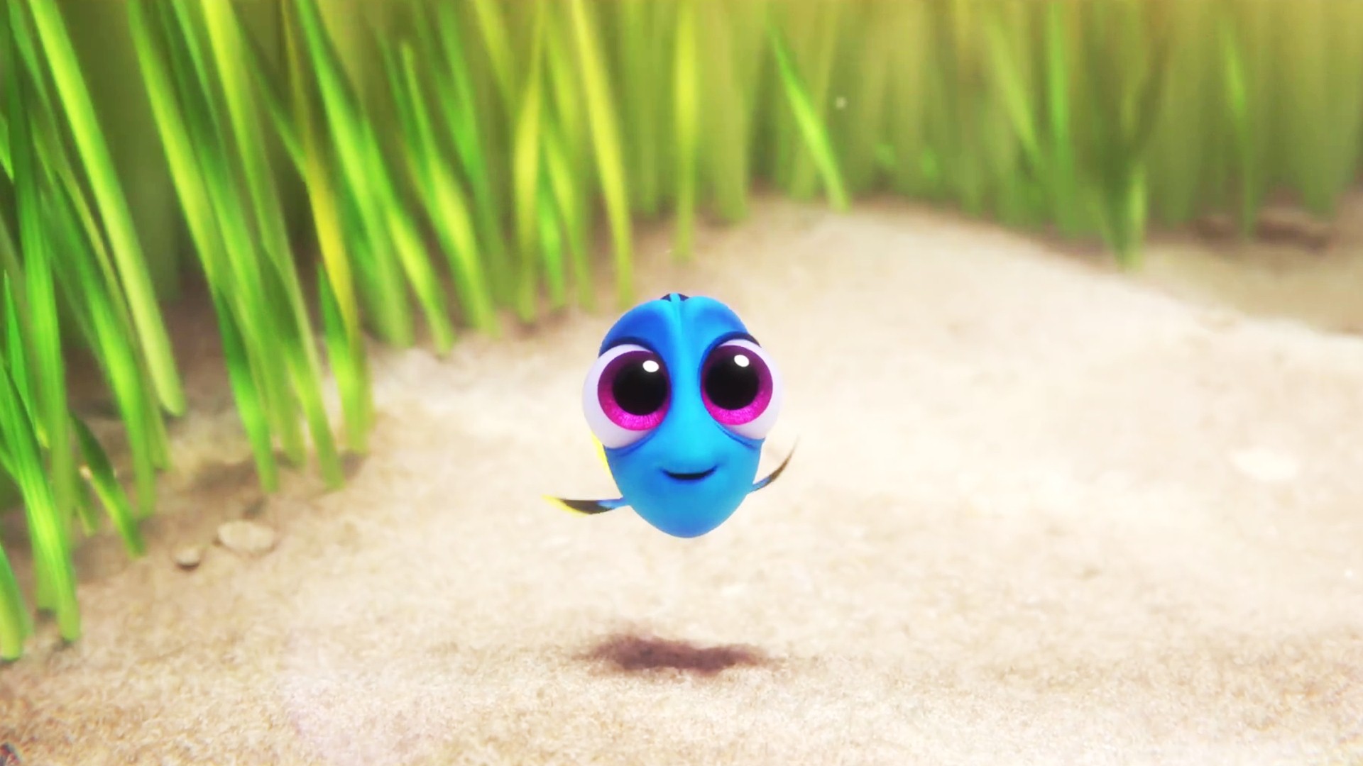 Baby Dory Wallpapers