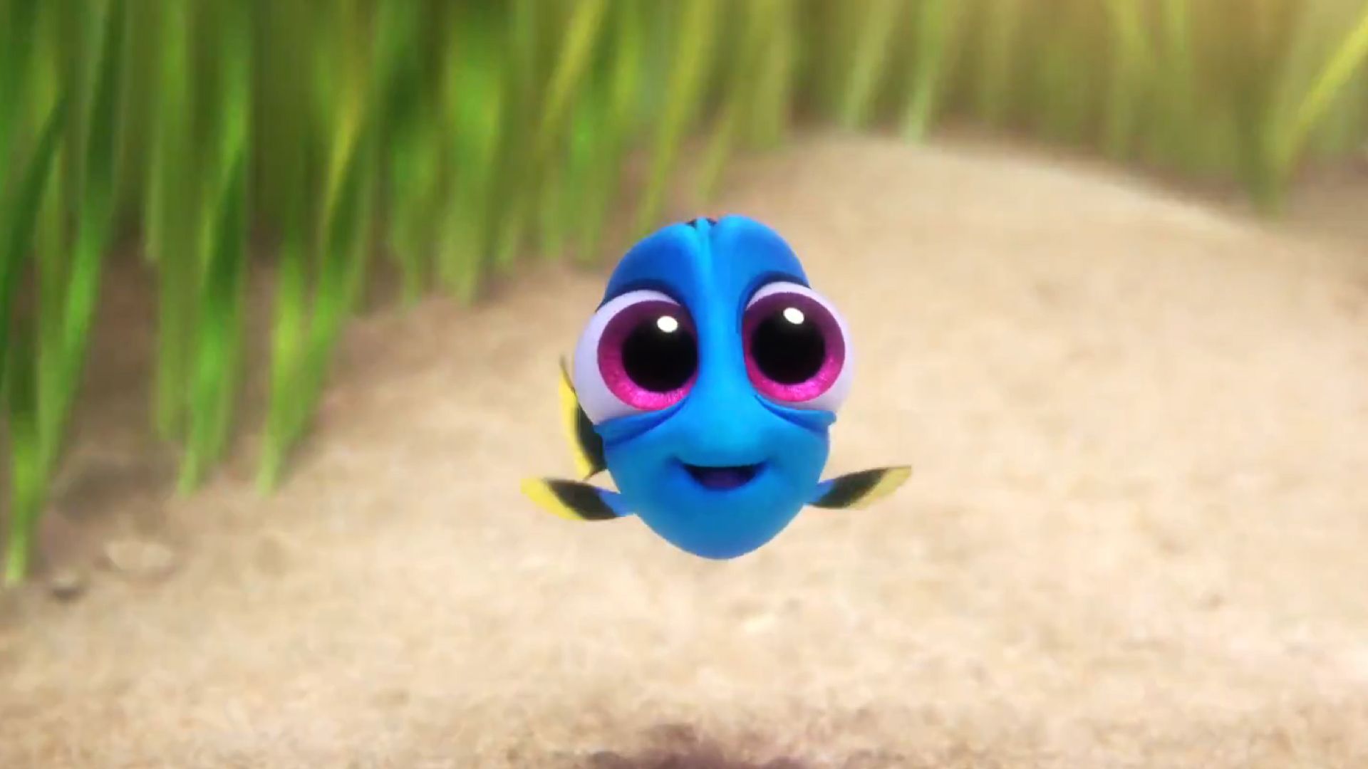 Baby Dory Wallpapers