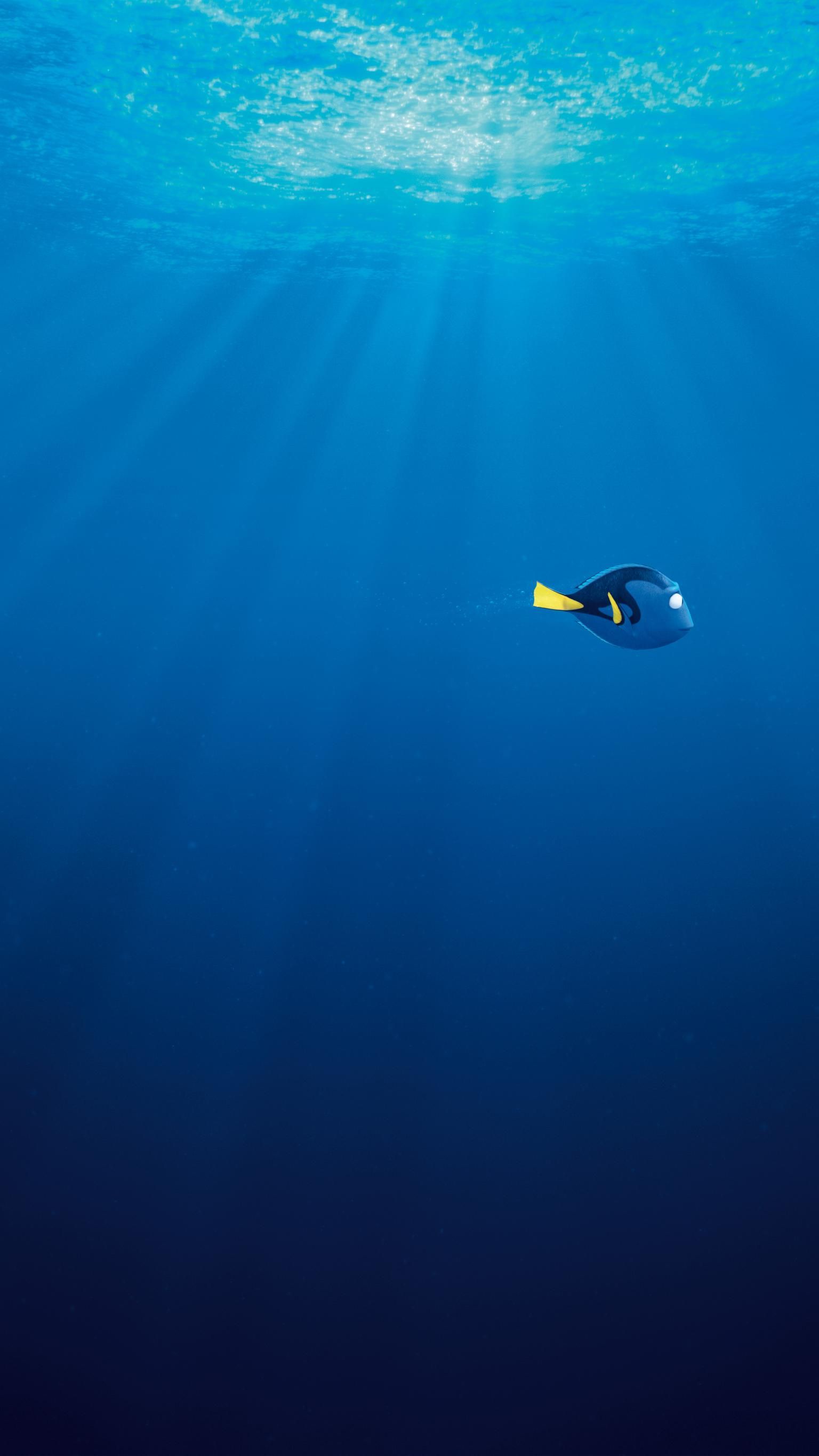 Baby Dory Wallpapers