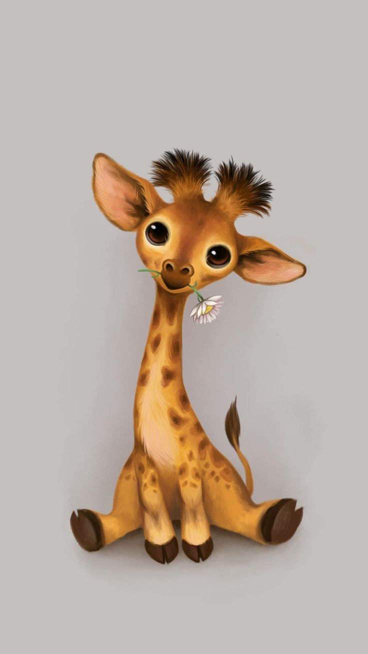 Baby Giraffe Wallpapers