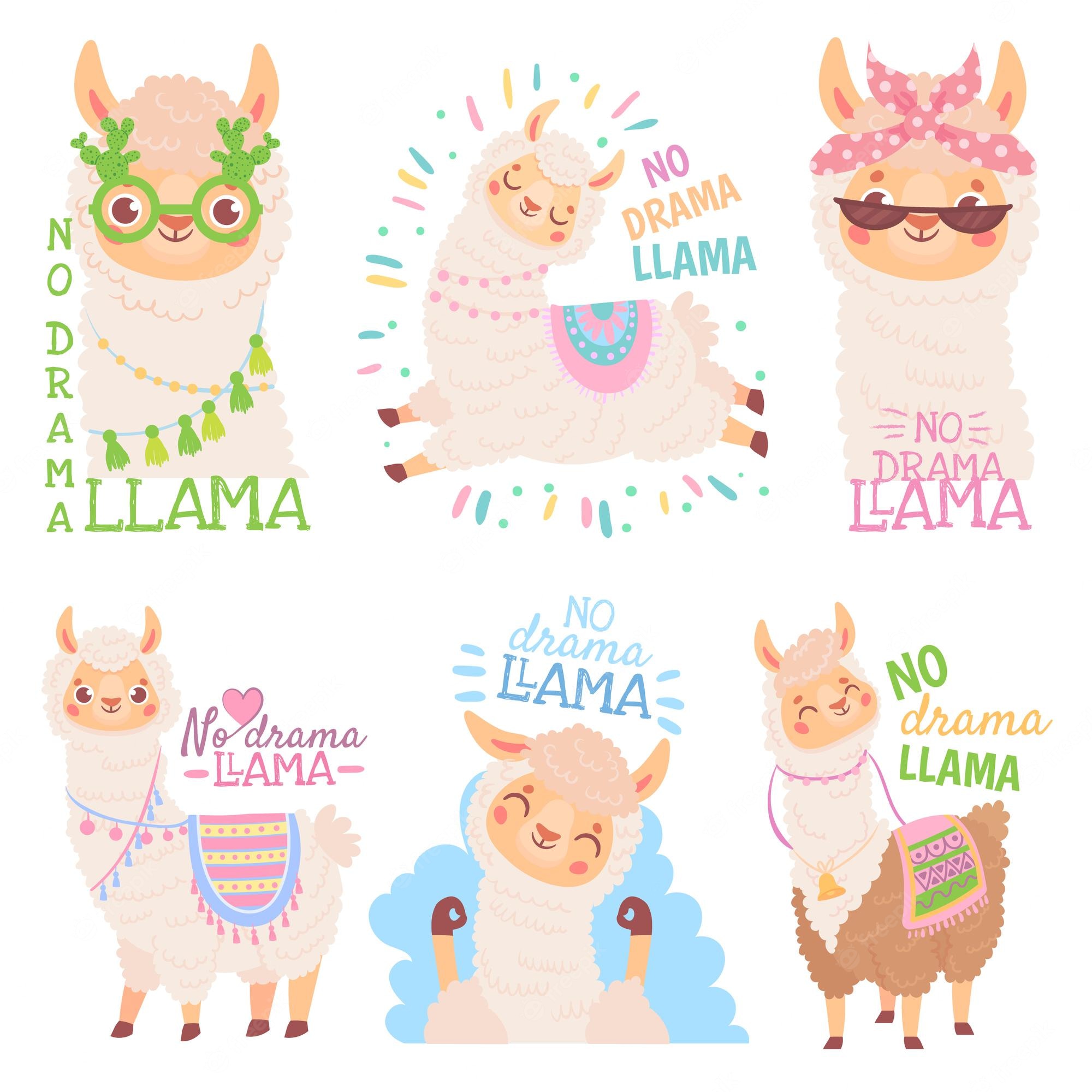 Baby Llama Pics Wallpapers