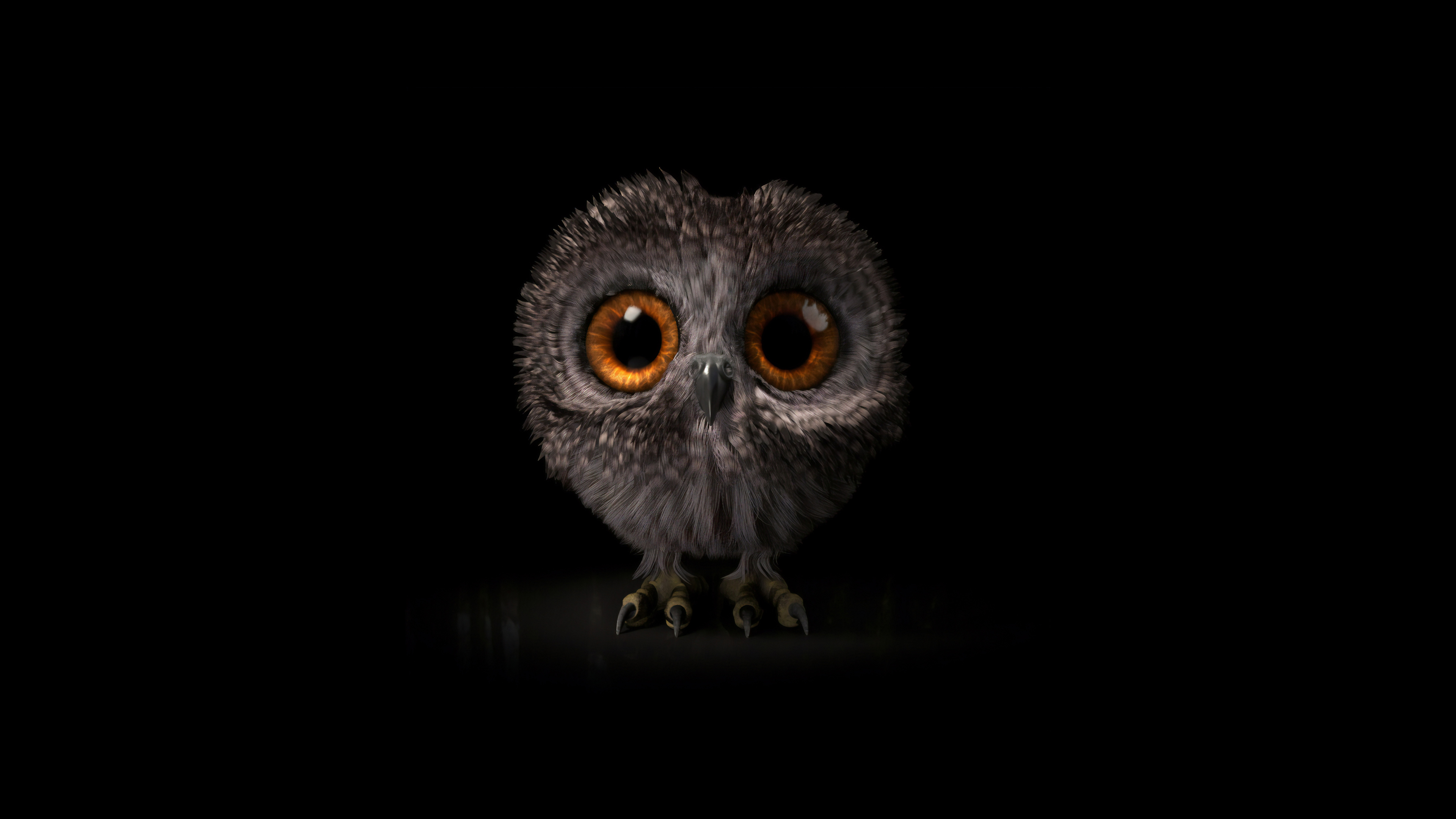 Baby Owl Wallpapers