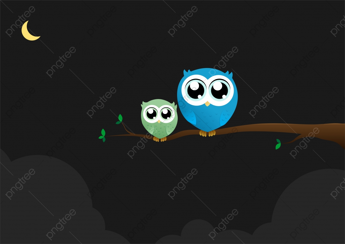 Baby Owls Cartoons Wallpapers