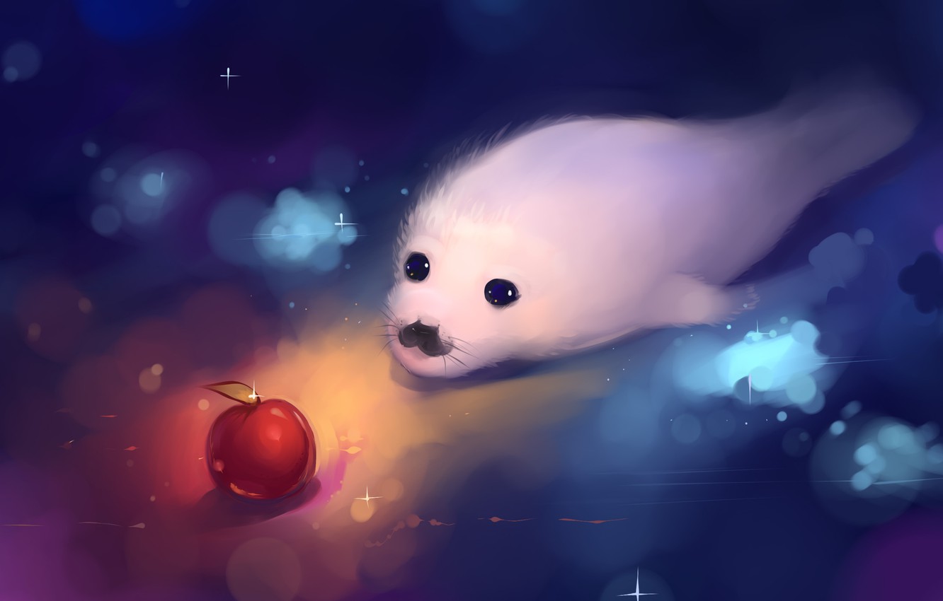 Baby Seal Wallpapers