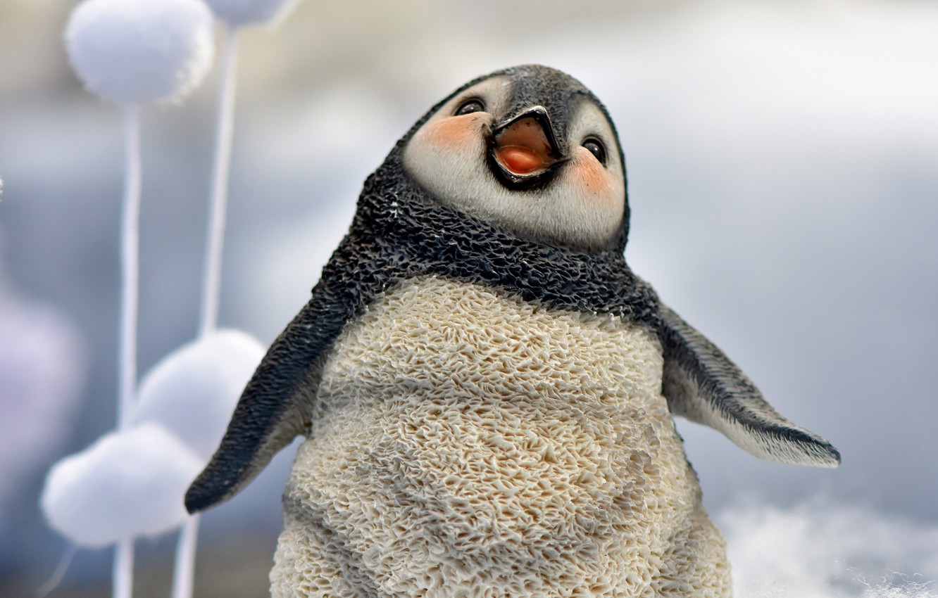 Babypenguin Wallpapers