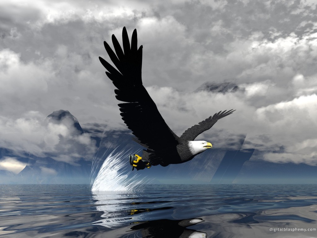 Bald Eagle Screen Savers Wallpapers