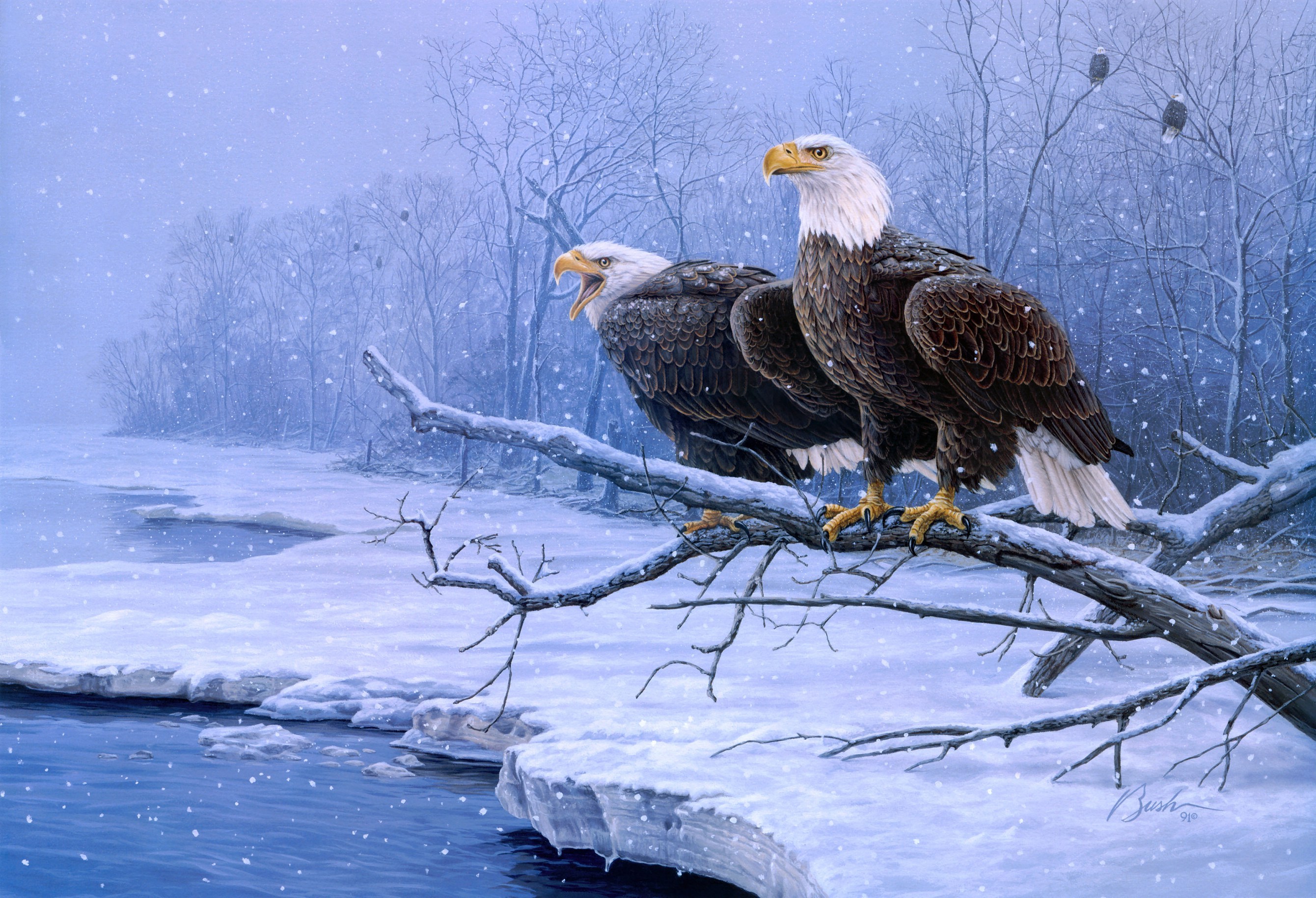 Bald Eagle Screen Savers Wallpapers