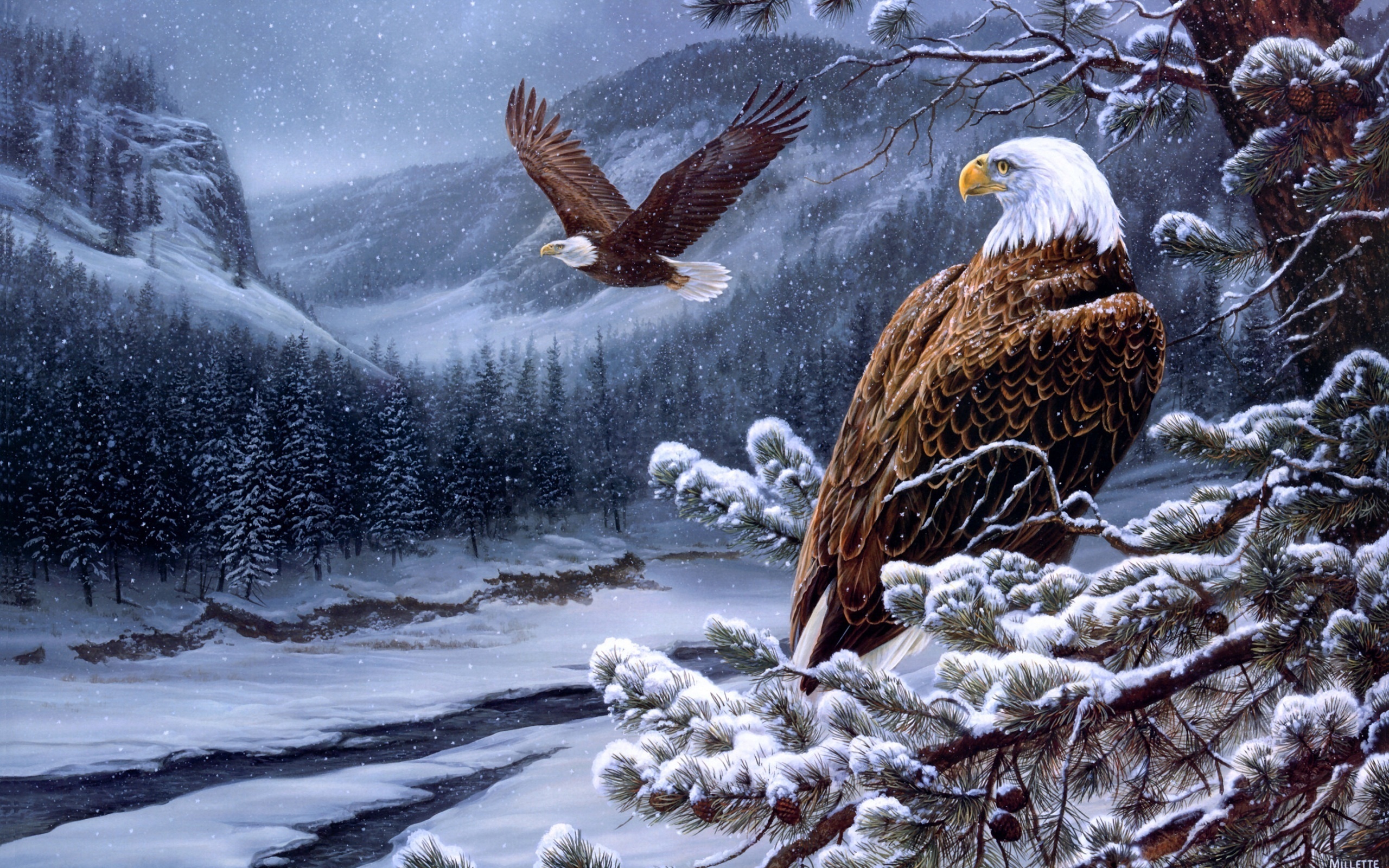 Bald Eagles Wallpapers