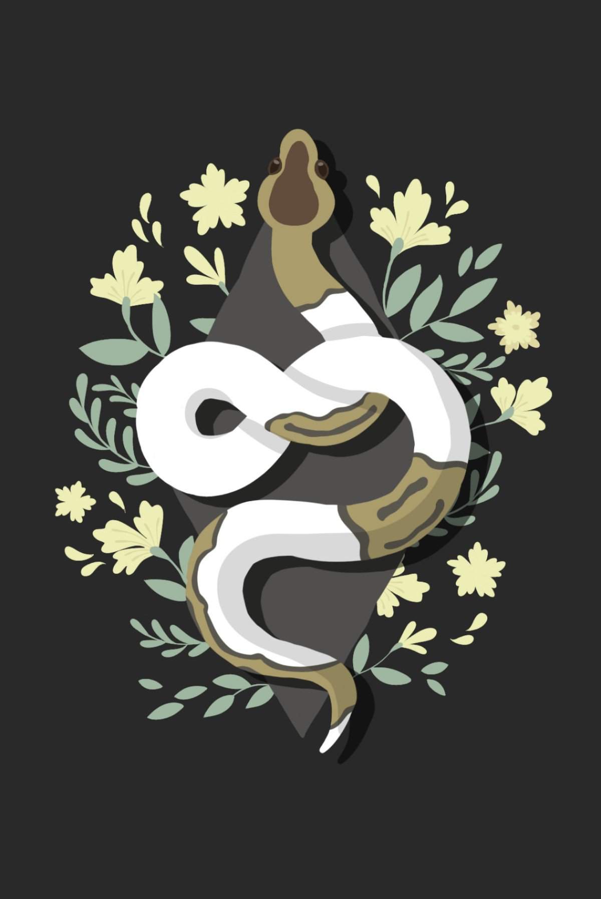 Ball Python Wallpapers