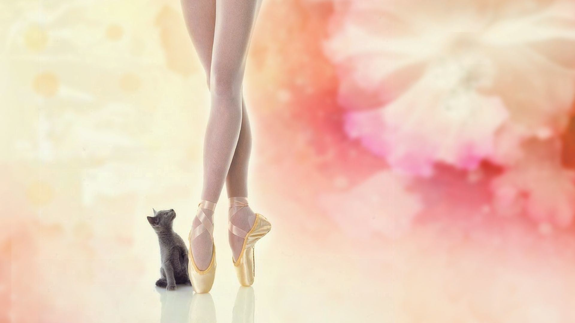 Ballet Screensaver Wallpapers