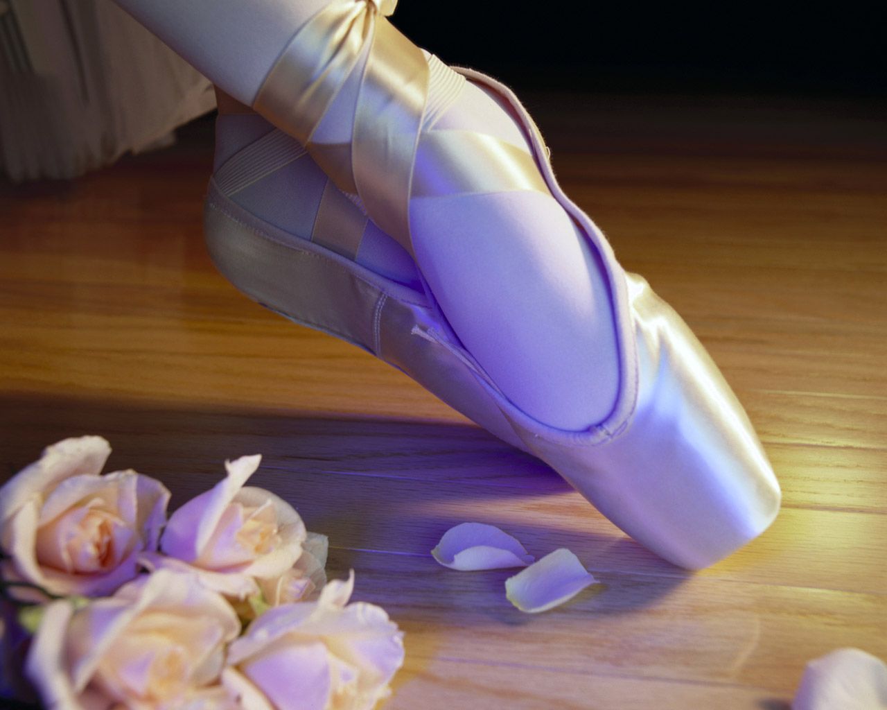 Ballet Shoes Wallpapers