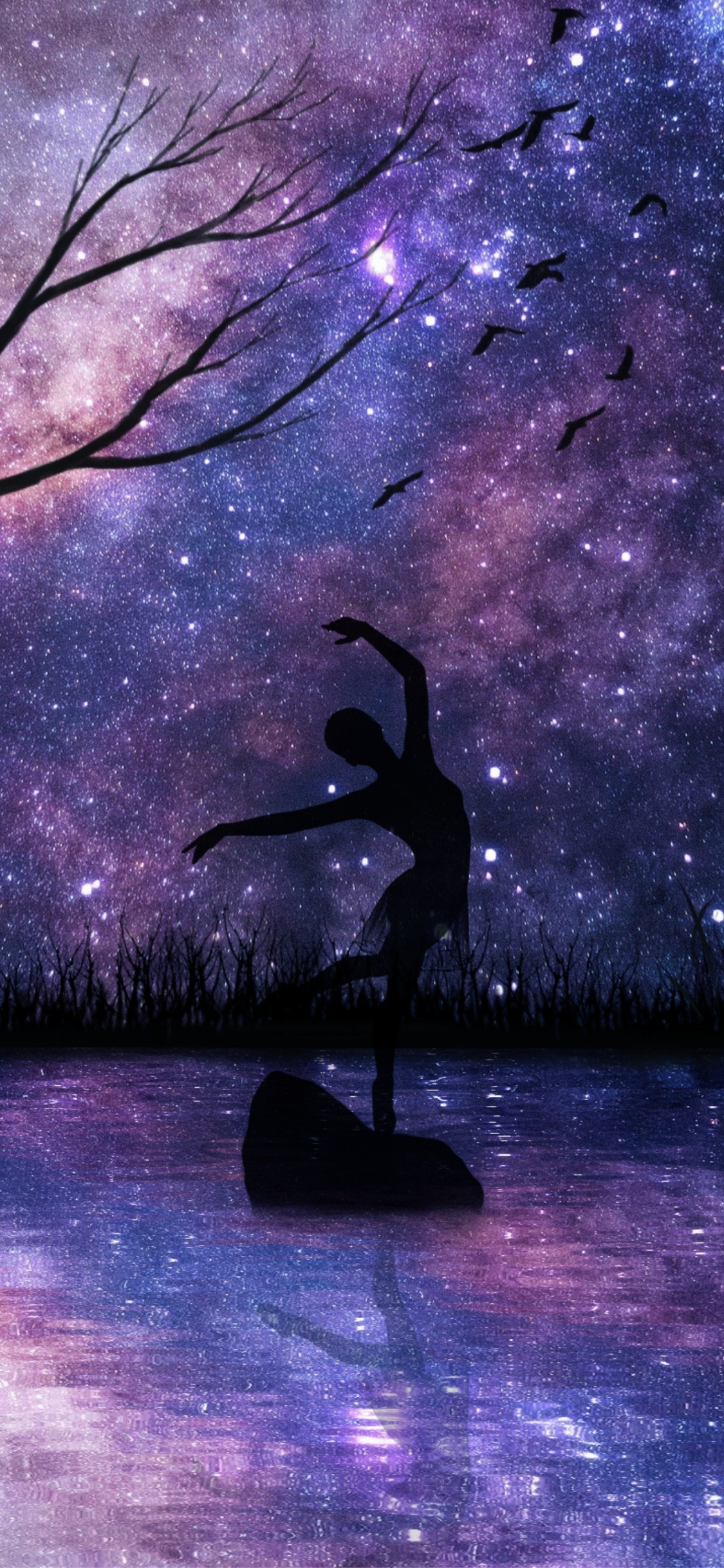 Ballet Iphone Wallpapers