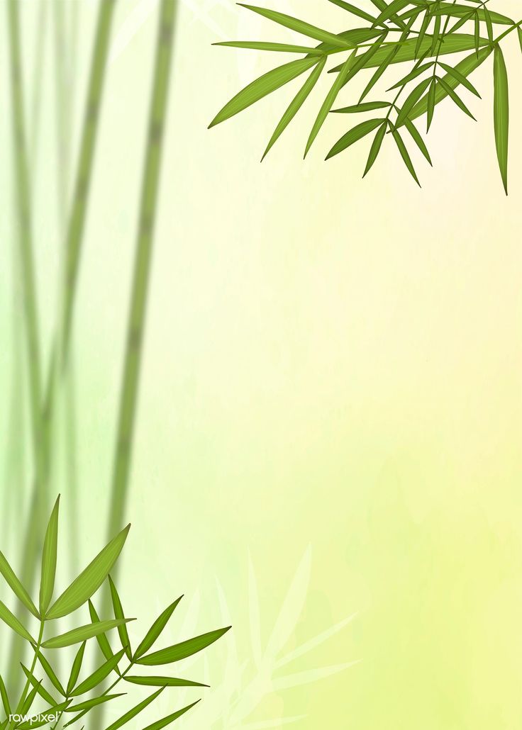 Bamboo Leaf Wallpapers