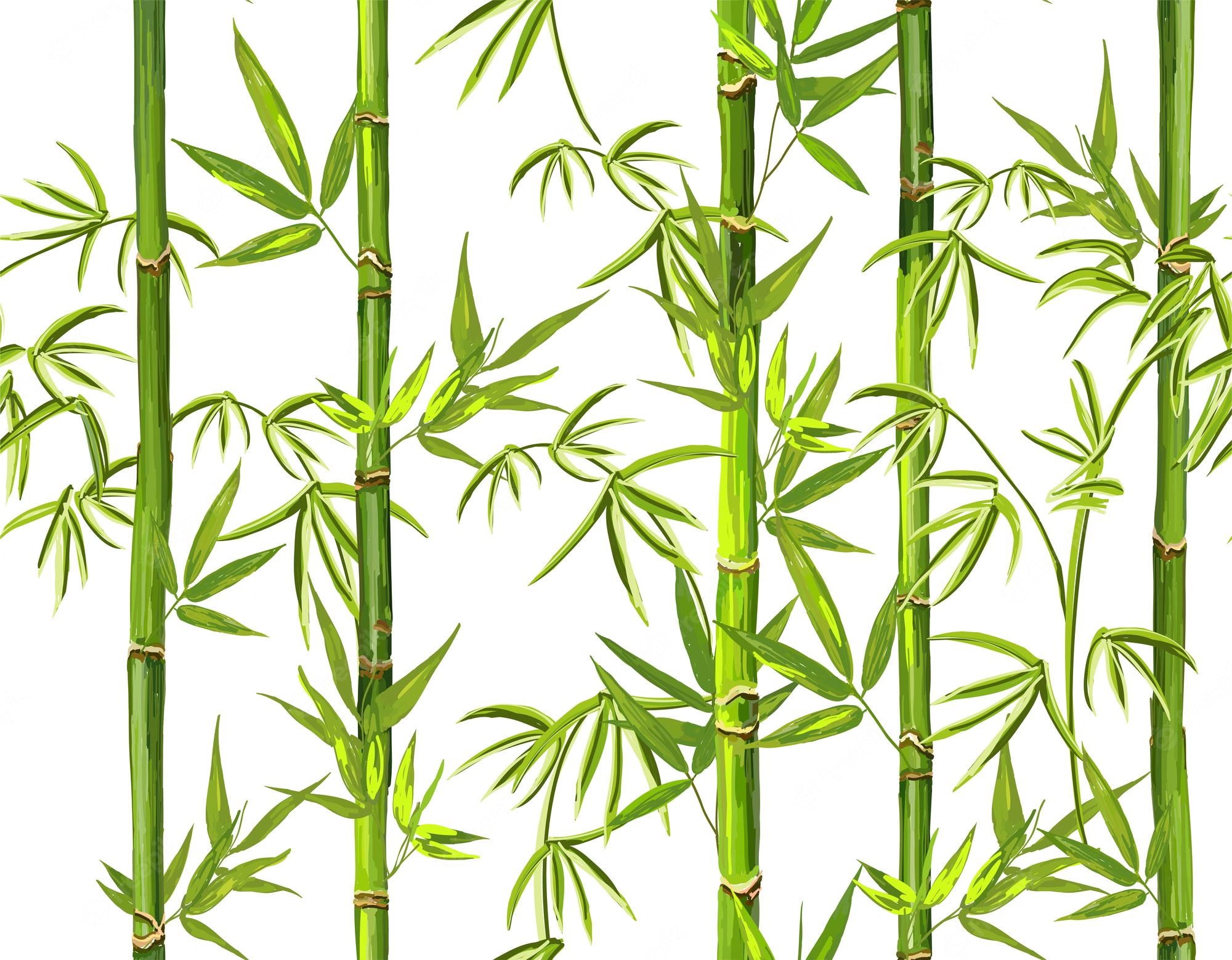 Bamboo Pattern Wallpapers