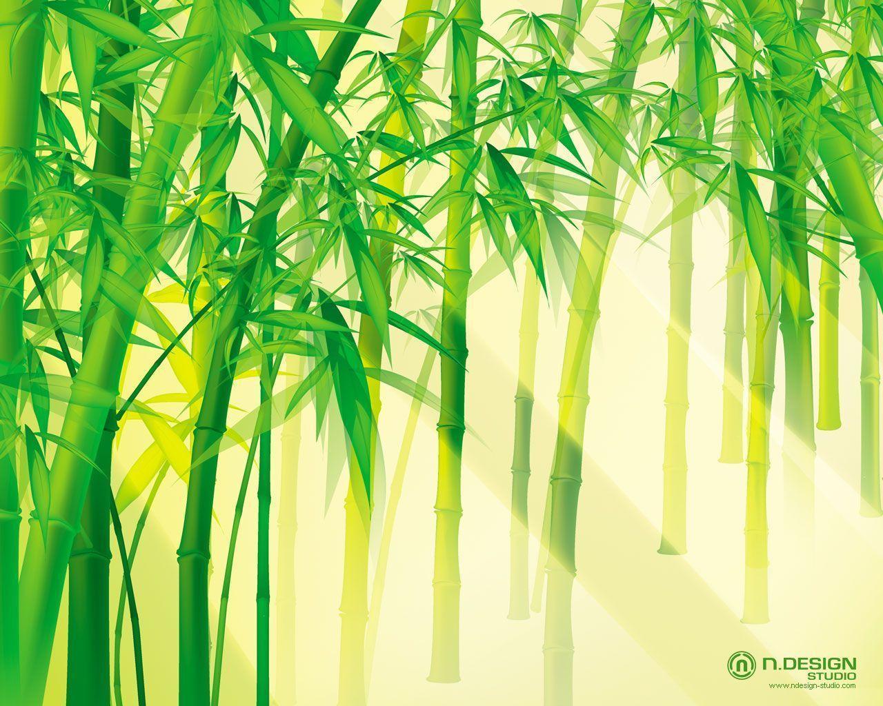 Bamboo Pattern Wallpapers