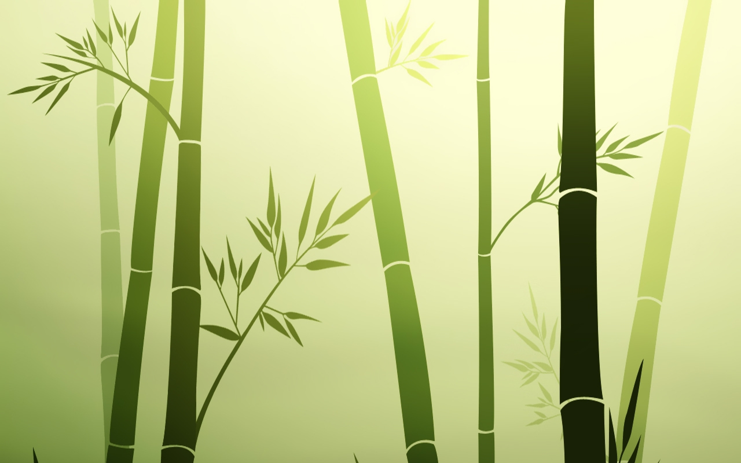 Bamboo Hd Wallpapers